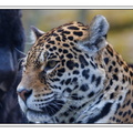 ZooVincennesMars 25-03-14 0026