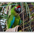 ZooVincennesMars 25-03-14 0032