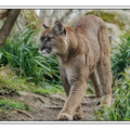 ZooVincennesMars 25-03-14 0104
